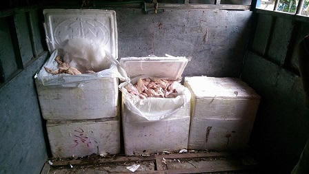 Phát hiện 2,5 tạ chim đông lạnh nhập lậu vào Hà Nội tiêu thụ